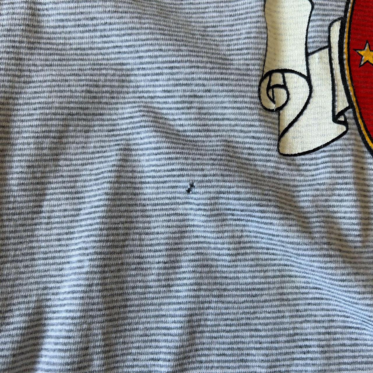 1990s - single stitch boxy 'vandalia' graphic tee