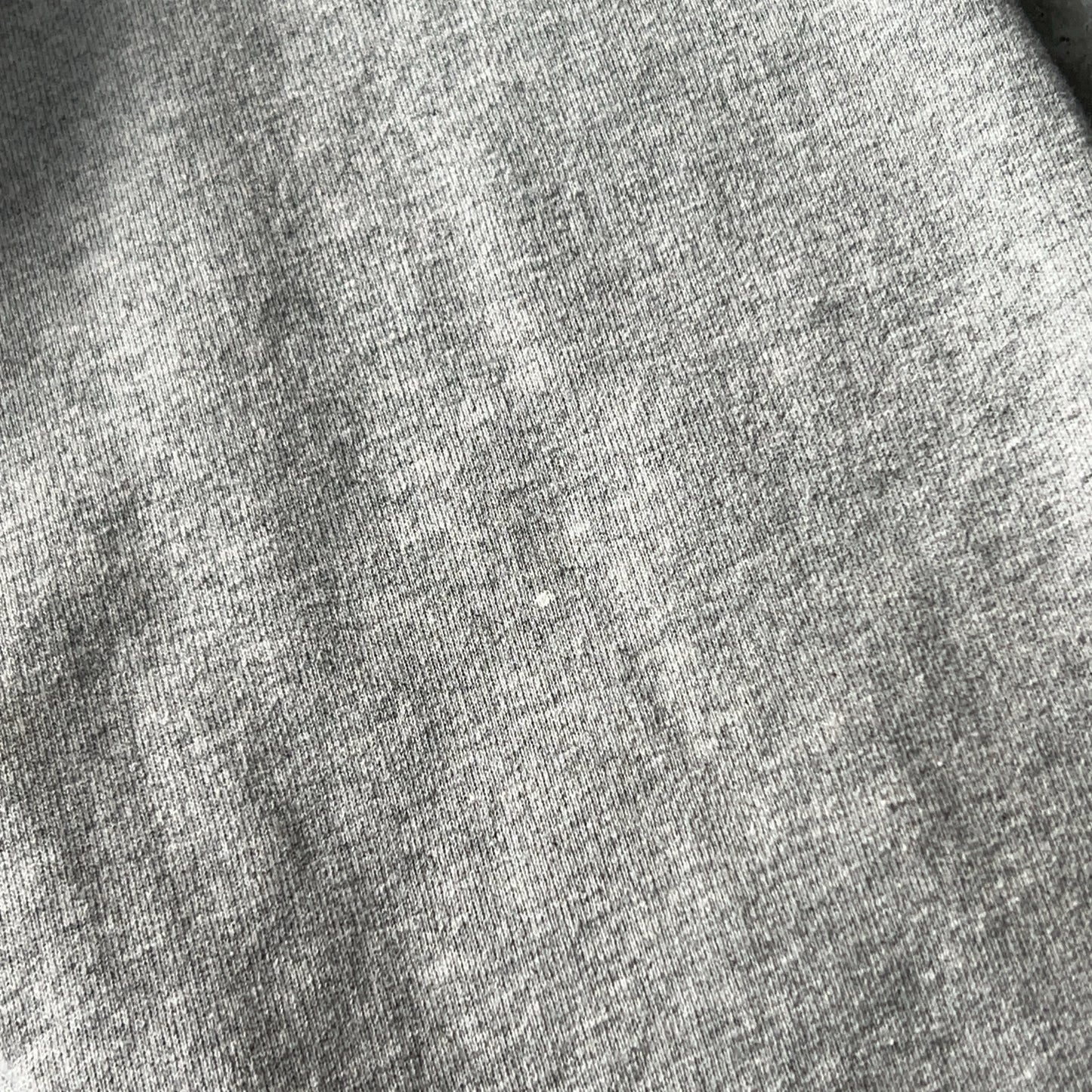 Vintage Men's Champion Champion Eco Authentic Hoodie
