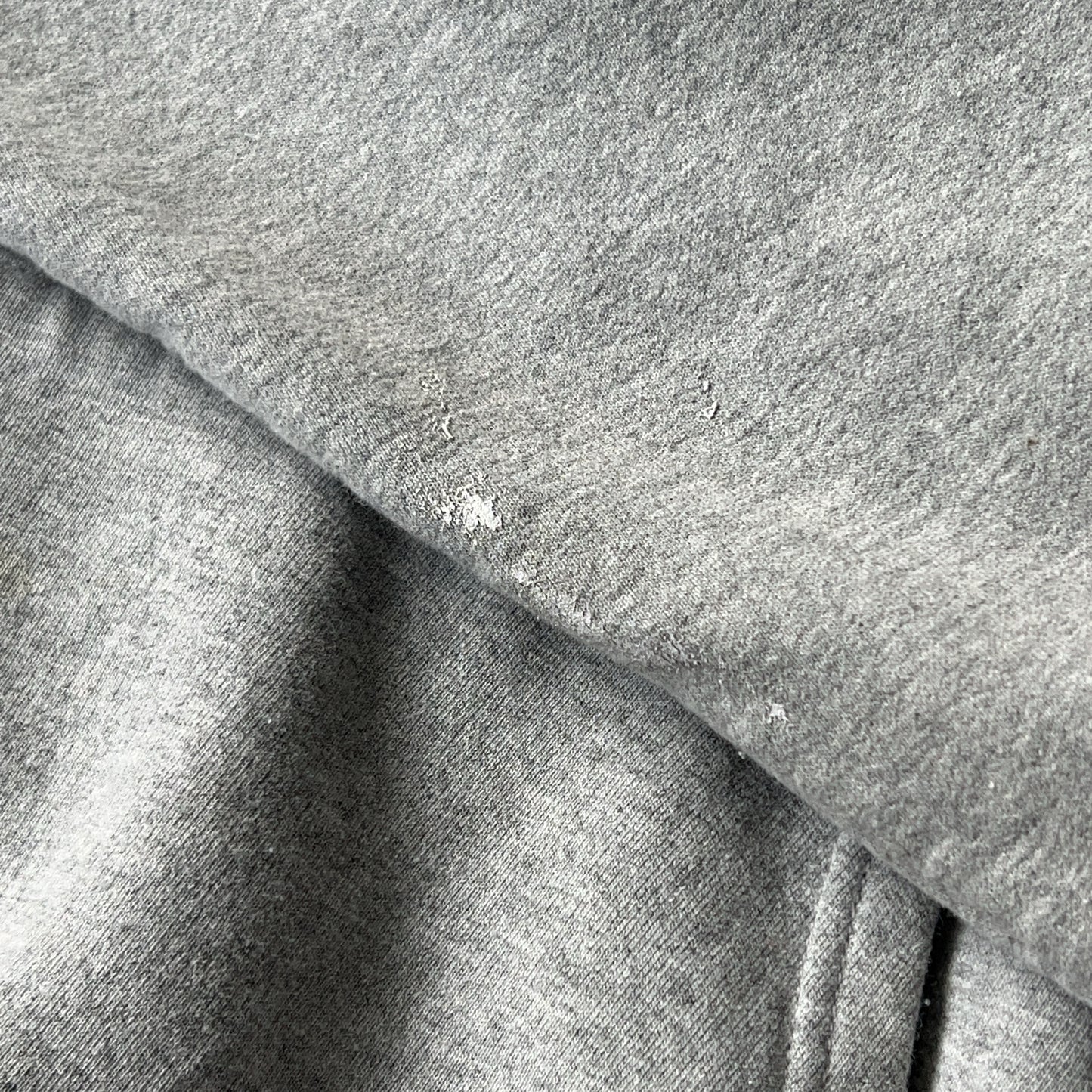Vintage Men's Champion Champion Eco Authentic Hoodie